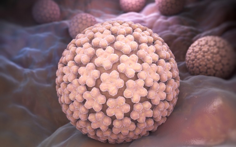 Human papillomavirus and cervical cancer