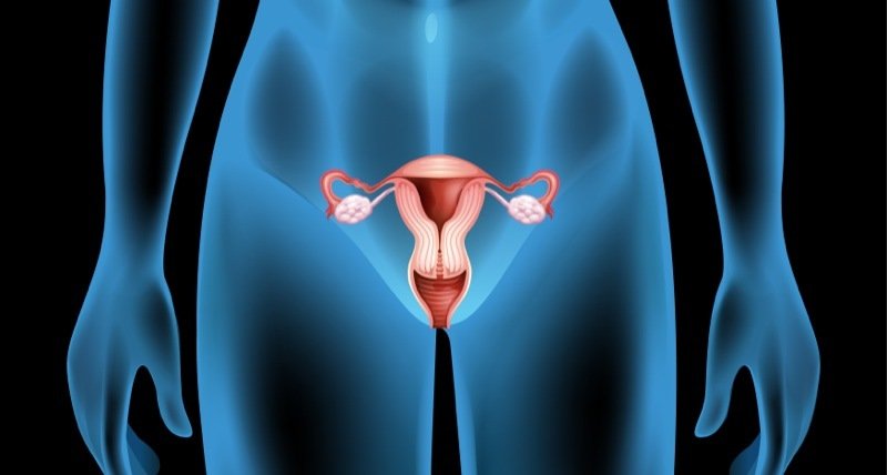 Experimental New Device May Allow for Easier Cervical Cancer Screening